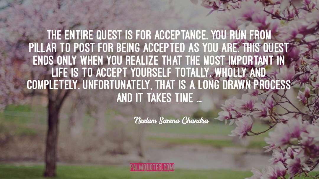 Neelam Saxena Chandra Quotes: The entire quest is for