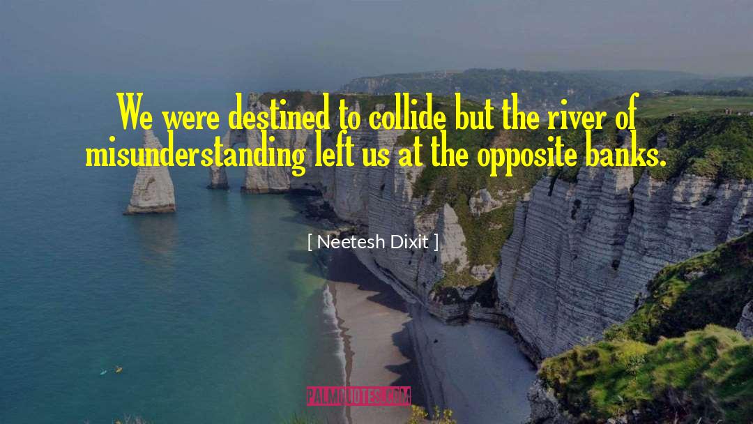 Neetesh Dixit Quotes: We were destined to collide