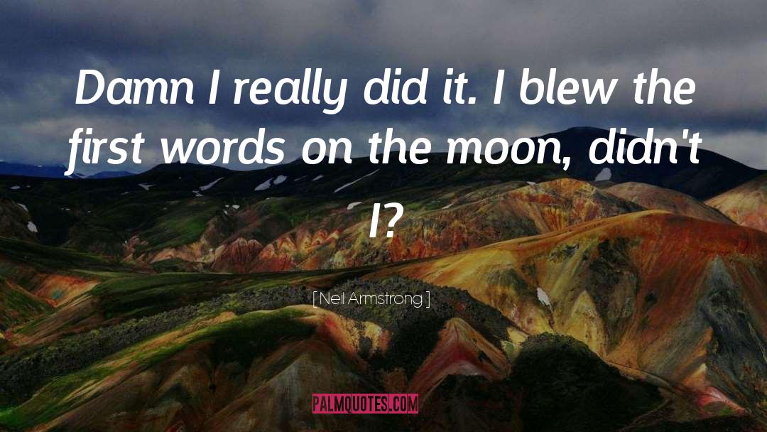 Neil Armstrong Quotes: Damn I really did it.