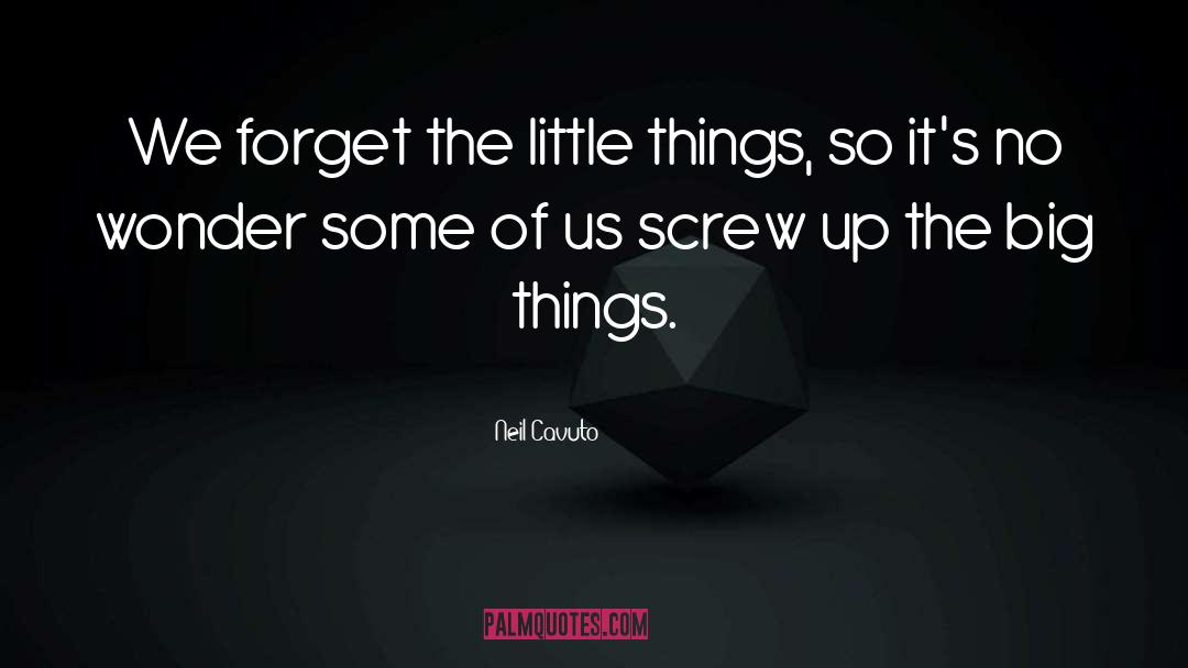 Neil Cavuto Quotes: We forget the little things,