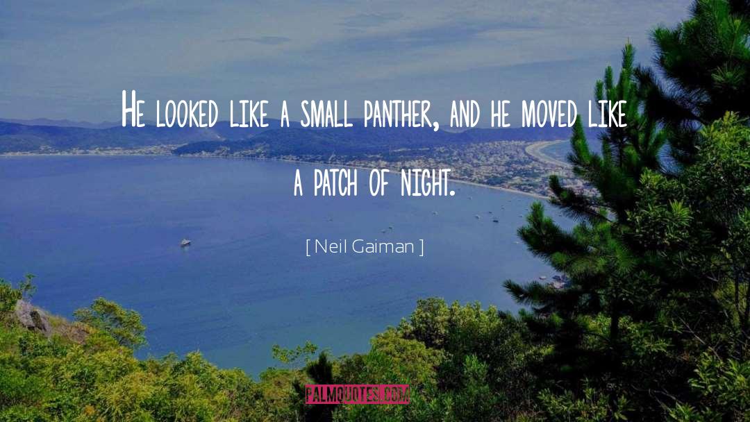 Neil Gaiman Quotes: He looked like a small