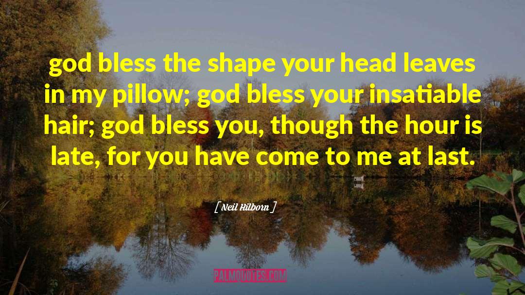 Neil Hilborn Quotes: god bless the shape your