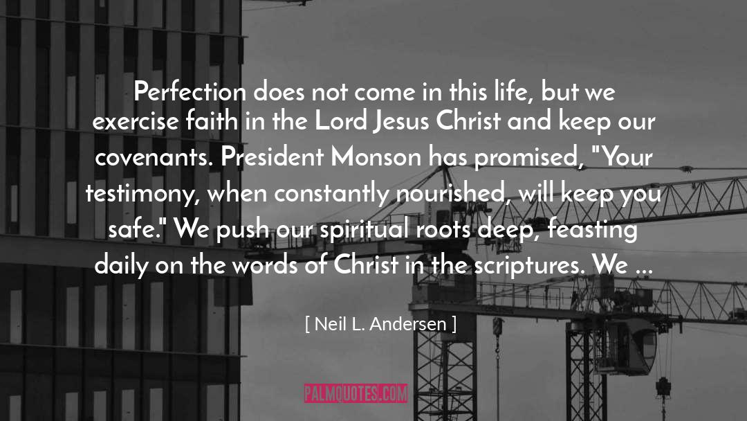 Neil L. Andersen Quotes: Perfection does not come in