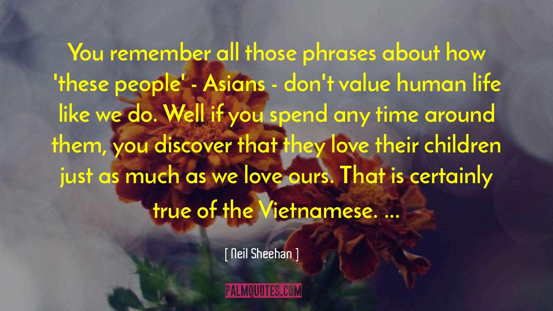 Neil Sheehan Quotes: You remember all those phrases