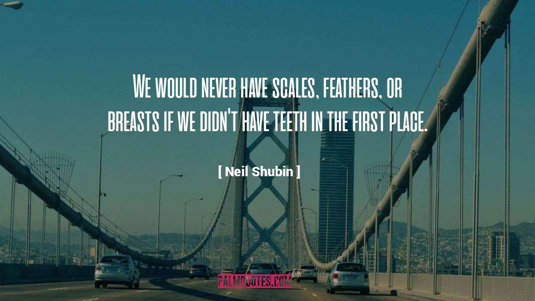 Neil Shubin Quotes: We would never have scales,
