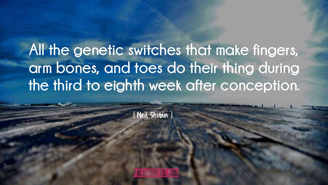 Neil Shubin Quotes: All the genetic switches that