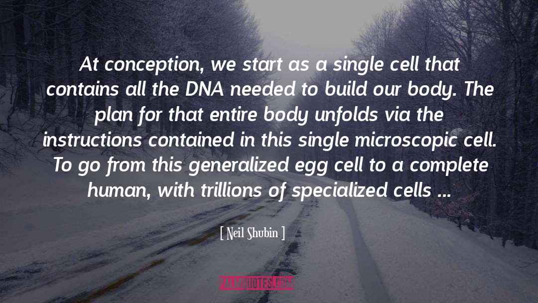 Neil Shubin Quotes: At conception, we start as
