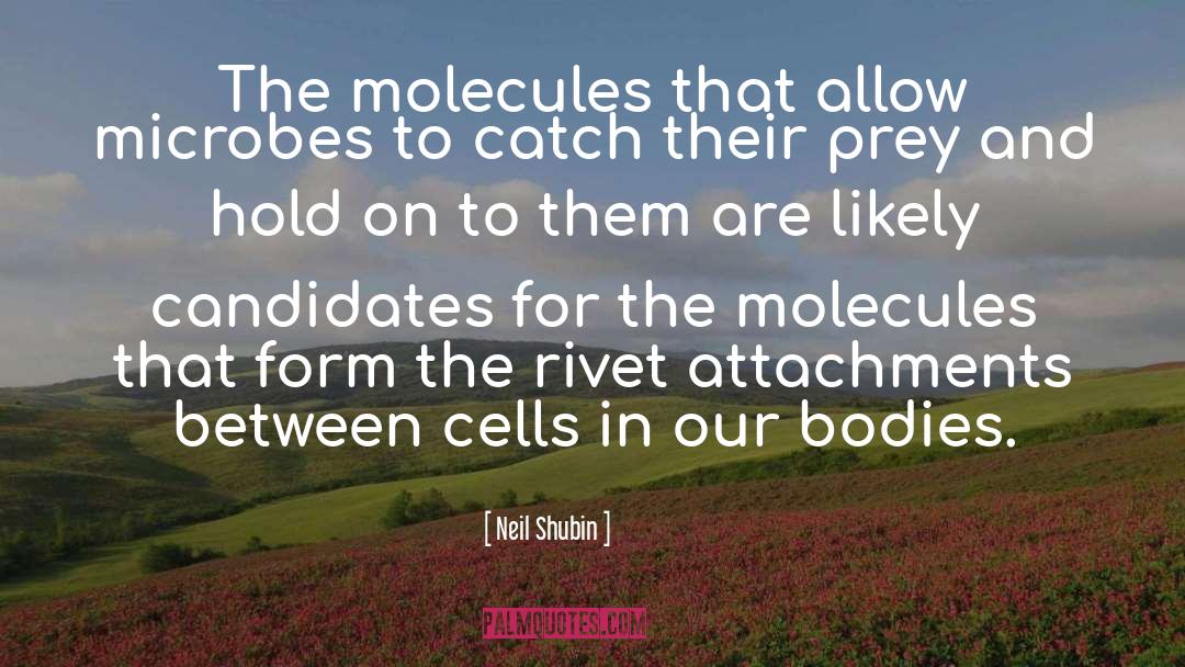 Neil Shubin Quotes: The molecules that allow microbes