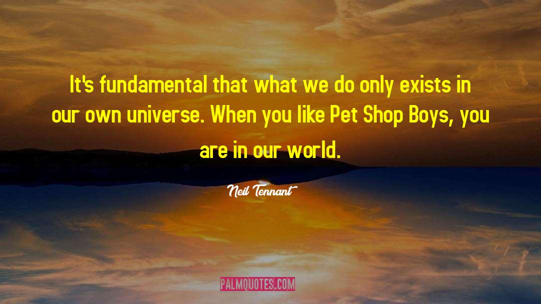 Neil Tennant Quotes: It's fundamental that what we