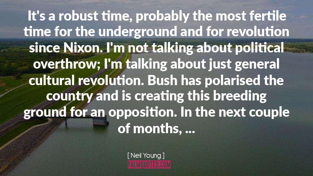 Neil Young Quotes: It's a robust time, probably