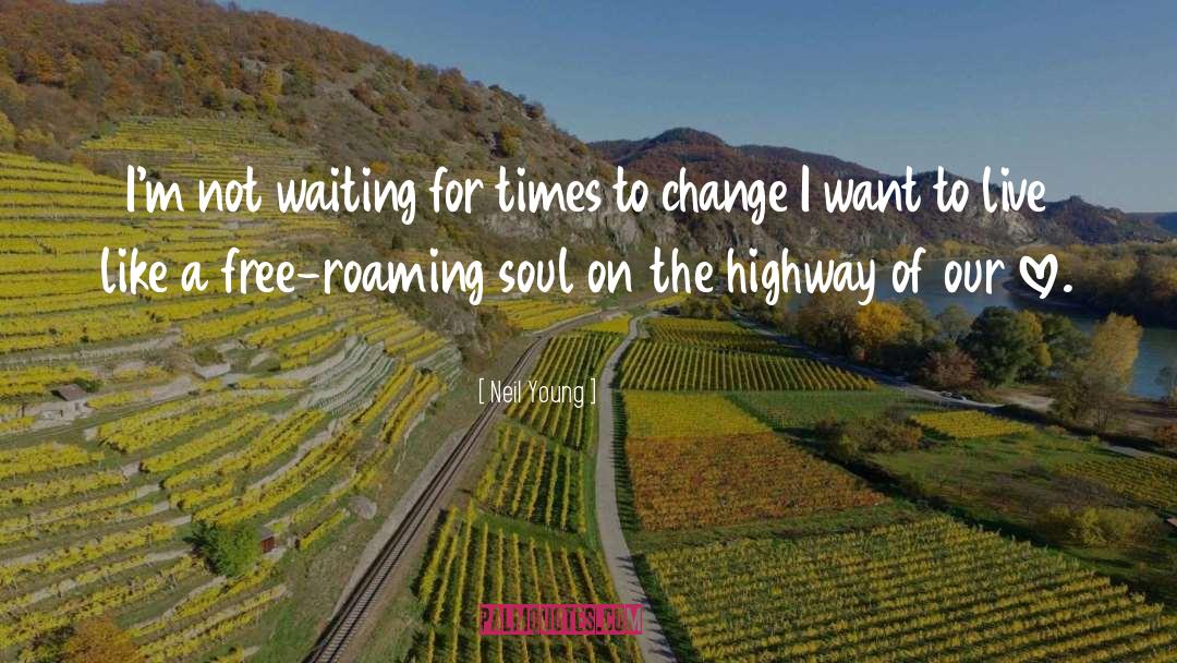 Neil Young Quotes: I'm not waiting for times