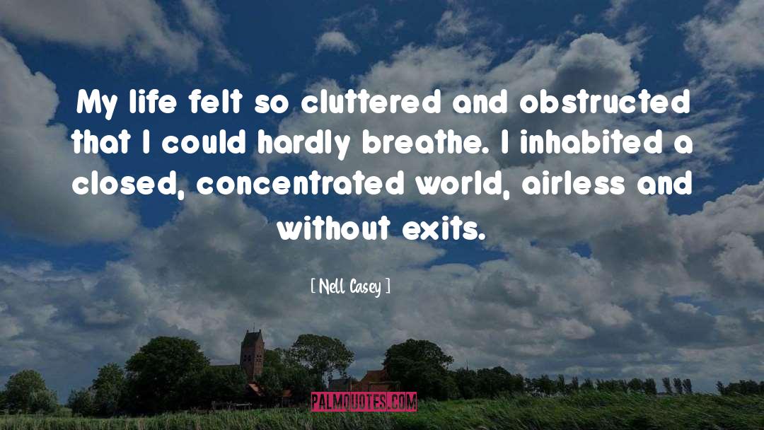 Nell Casey Quotes: My life felt so cluttered