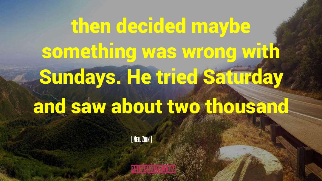 Nell Zink Quotes: then decided maybe something was