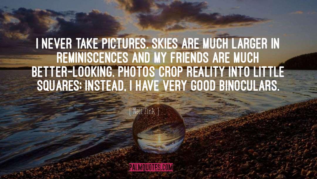 Nell Zink Quotes: I never take pictures. Skies