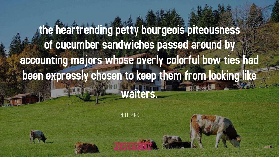 Nell Zink Quotes: the heartrending petty bourgeois piteousness
