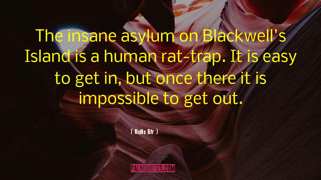 Nellie Bly Quotes: The insane asylum on Blackwell's