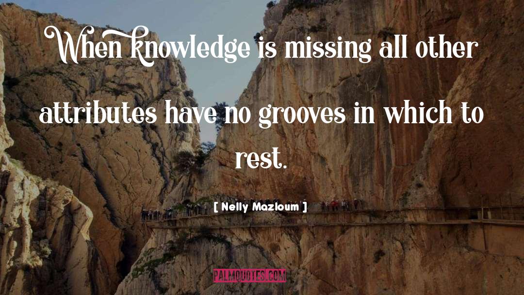 Nelly Mazloum Quotes: When knowledge is missing all
