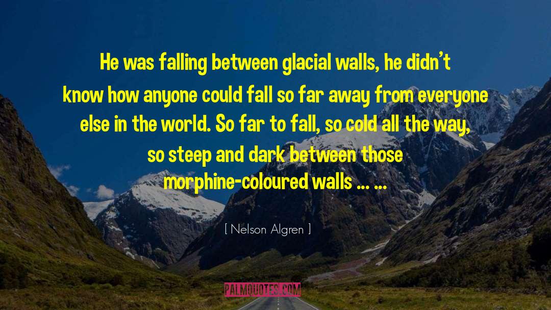 Nelson Algren Quotes: He was falling between glacial