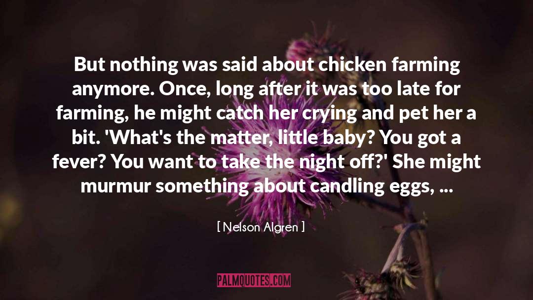 Nelson Algren Quotes: But nothing was said about