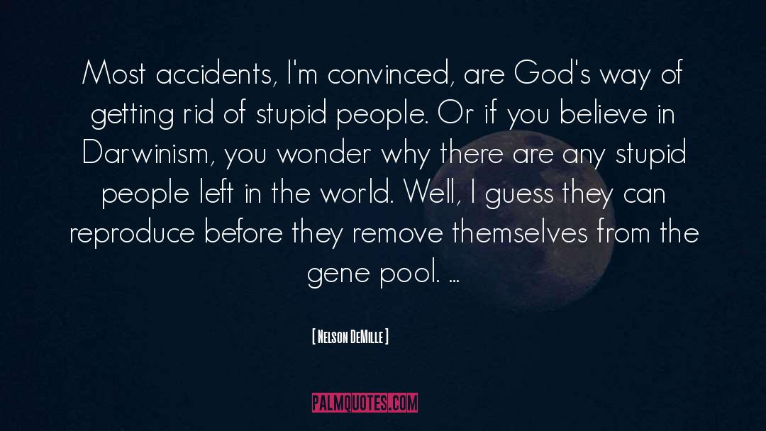 Nelson DeMille Quotes: Most accidents, I'm convinced, are