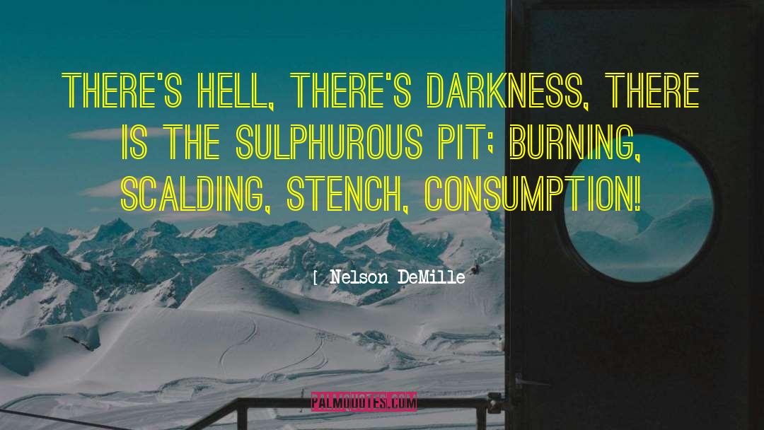 Nelson DeMille Quotes: There's hell, there's darkness, there