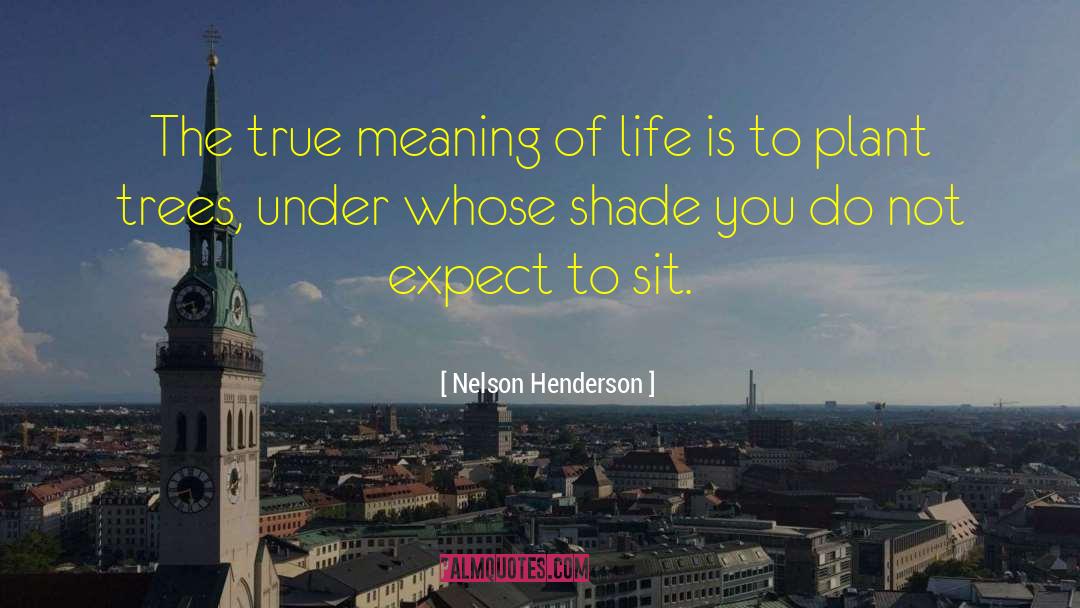 Nelson Henderson Quotes: The true meaning of life