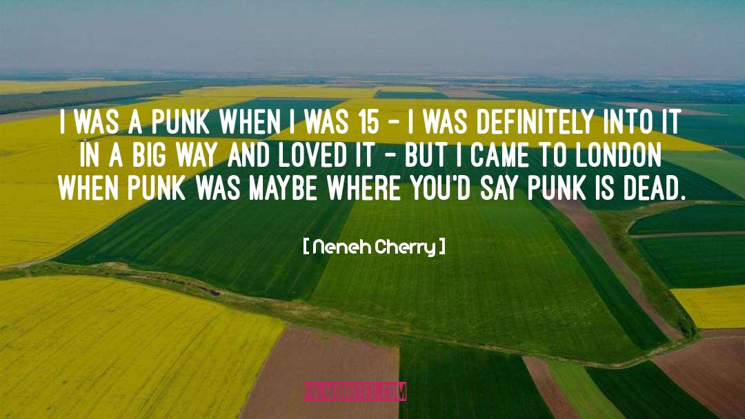 Neneh Cherry Quotes: I was a punk when