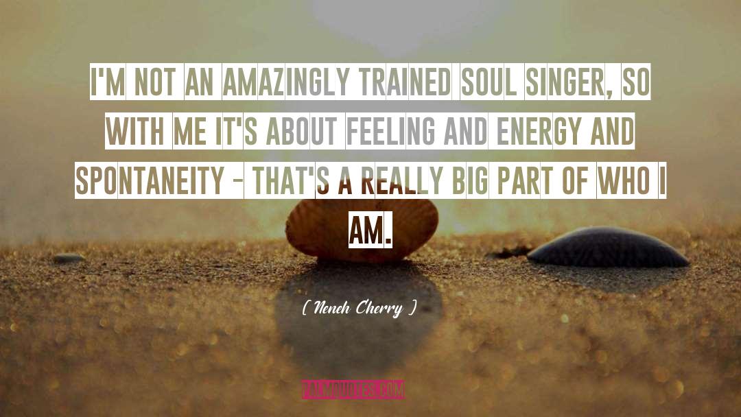 Neneh Cherry Quotes: I'm not an amazingly trained