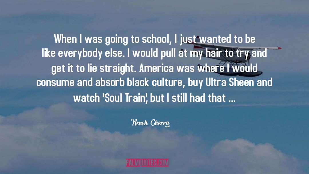 Neneh Cherry Quotes: When I was going to