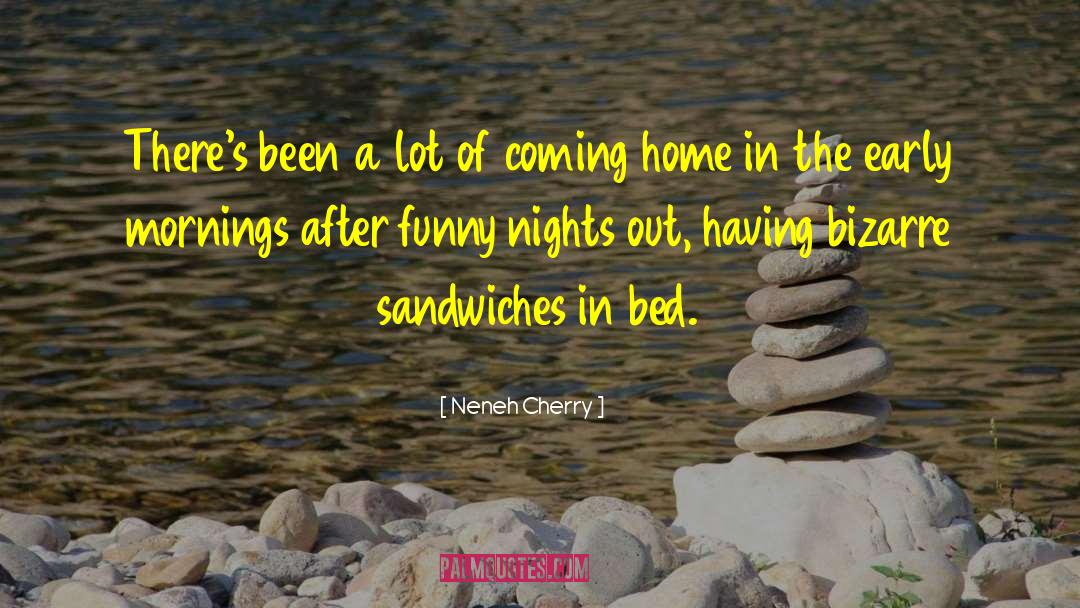 Neneh Cherry Quotes: There's been a lot of