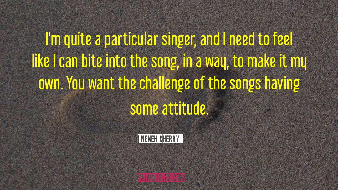 Neneh Cherry Quotes: I'm quite a particular singer,