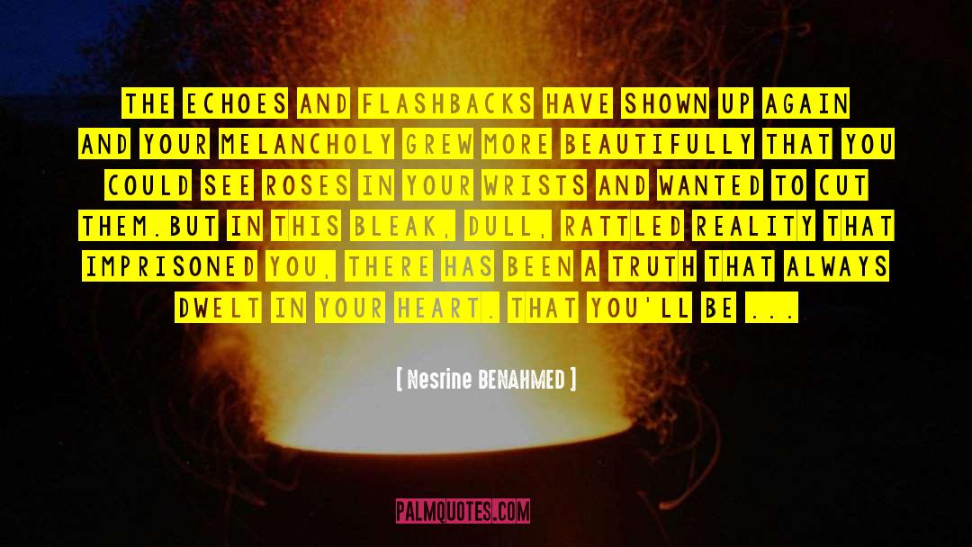 Nesrine BENAHMED Quotes: the echoes and flashbacks have