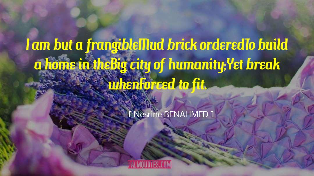 Nesrine BENAHMED Quotes: I am but a frangible<br