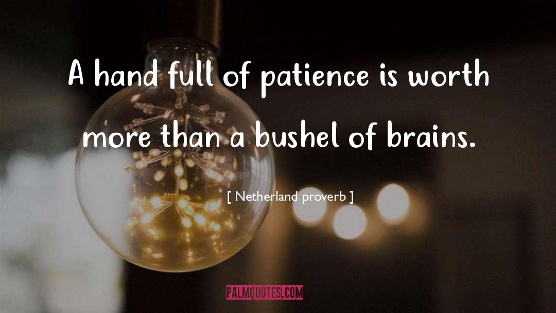 Netherland Proverb Quotes: A hand full of patience