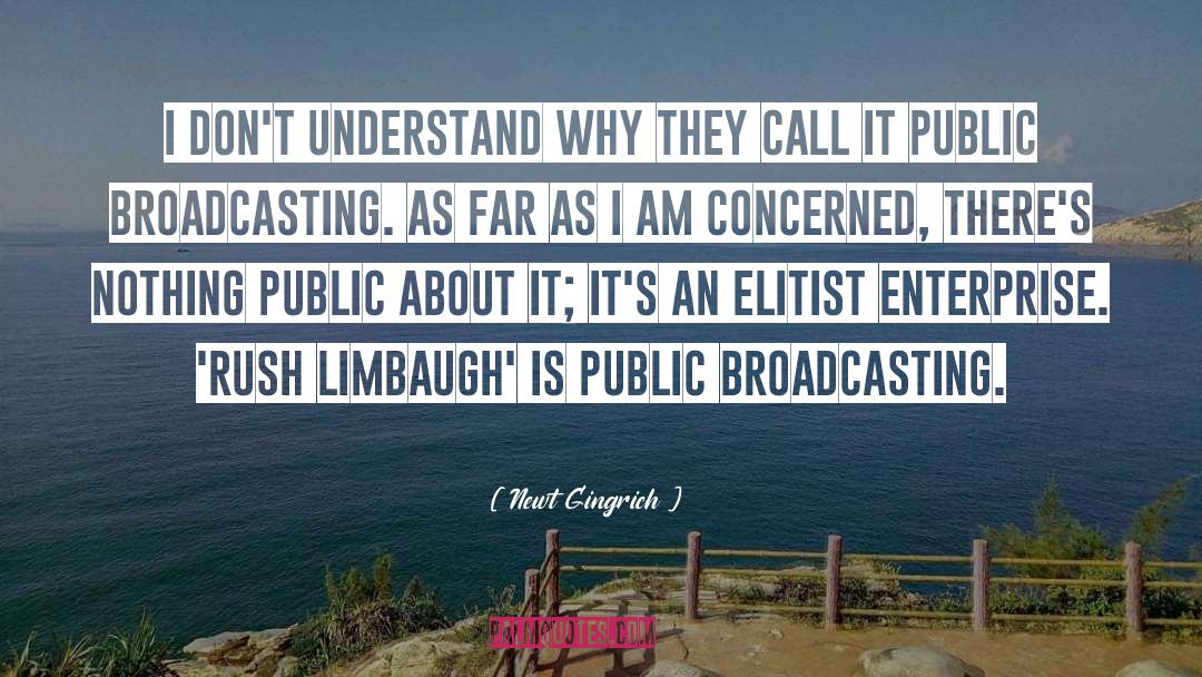 Newt Gingrich Quotes: I don't understand why they