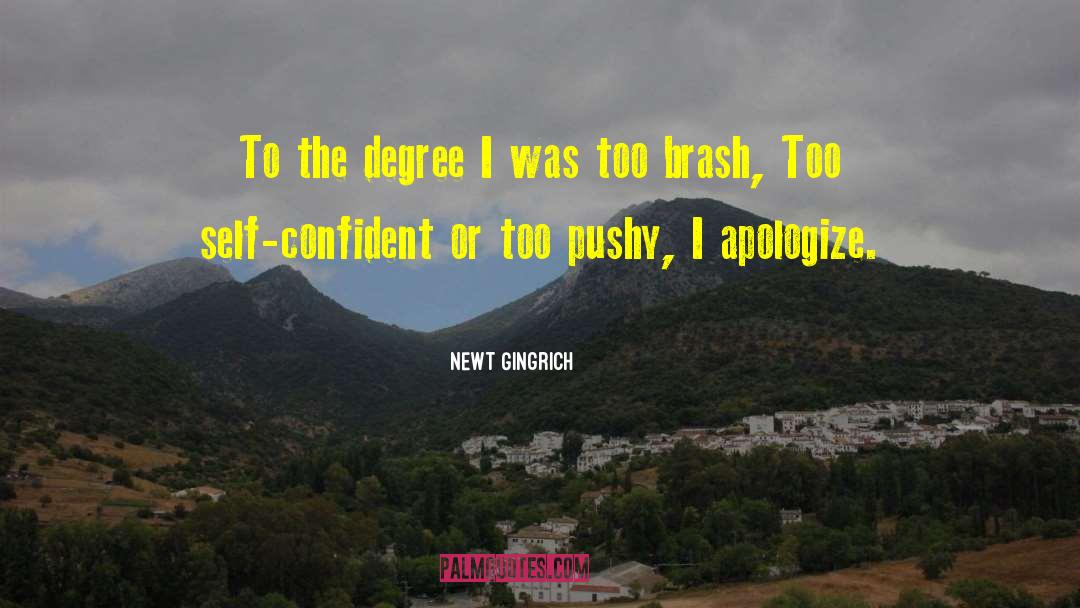 Newt Gingrich Quotes: To the degree I was