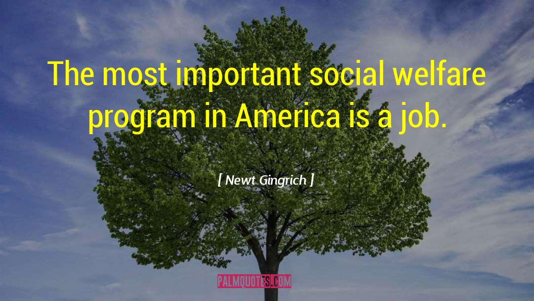 Newt Gingrich Quotes: The most important social welfare