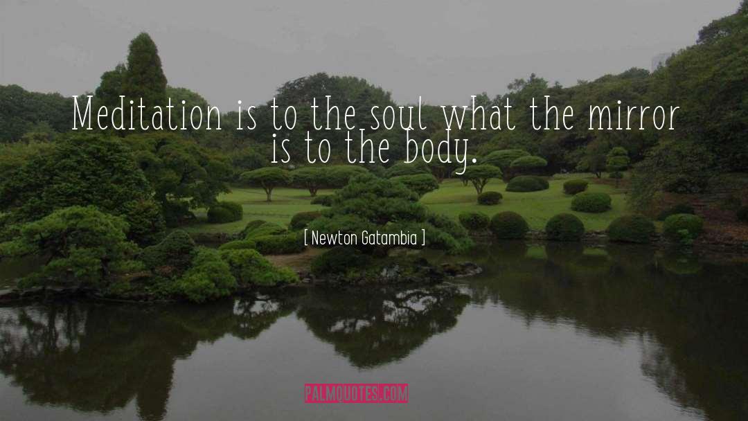 Newton Gatambia Quotes: Meditation is to the soul