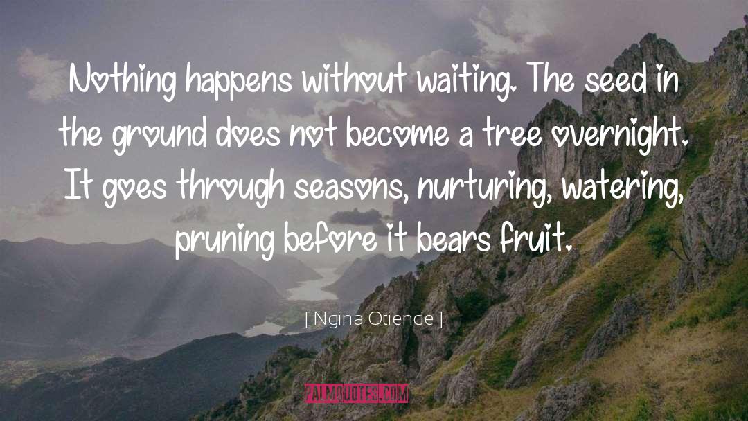 Ngina Otiende Quotes: Nothing happens without waiting. The