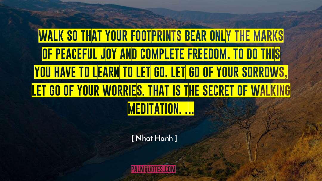 Nhat Hanh Quotes: Walk so that your footprints