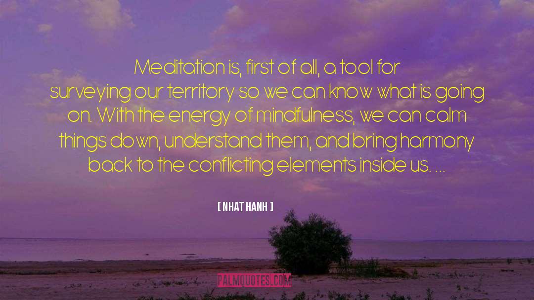 Nhat Hanh Quotes: Meditation is, first of all,