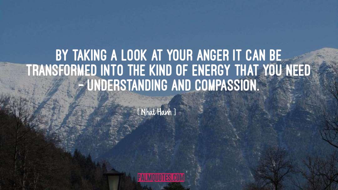 Nhat Hanh Quotes: By taking a look at