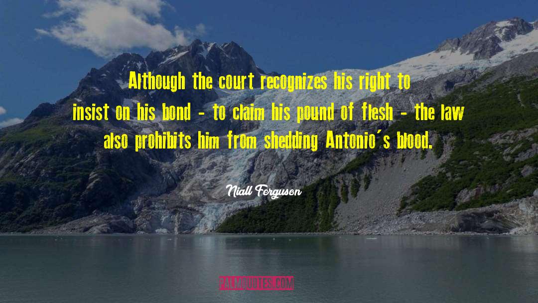 Niall Ferguson Quotes: Although the court recognizes his