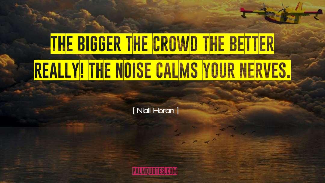 Niall Horan Quotes: The bigger the crowd the