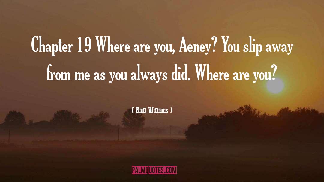 Niall Williams Quotes: Chapter 19 Where are you,