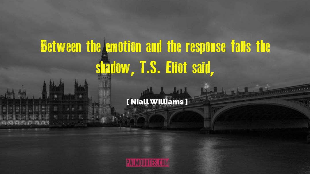 Niall Williams Quotes: Between the emotion and the