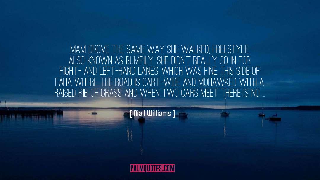 Niall Williams Quotes: Mam drove the same way