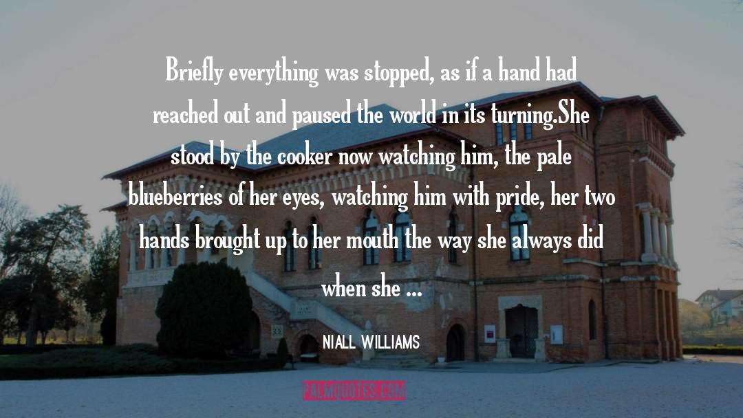 Niall Williams Quotes: Briefly everything was stopped, as