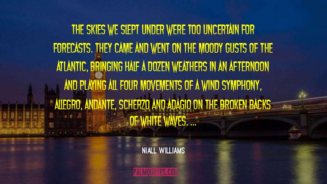 Niall Williams Quotes: The skies we slept under