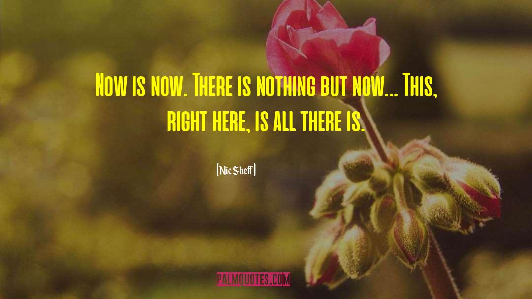 Nic Sheff Quotes: Now is now. There is